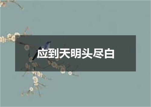 应到天明头尽白