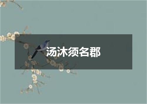 汤沐须名郡