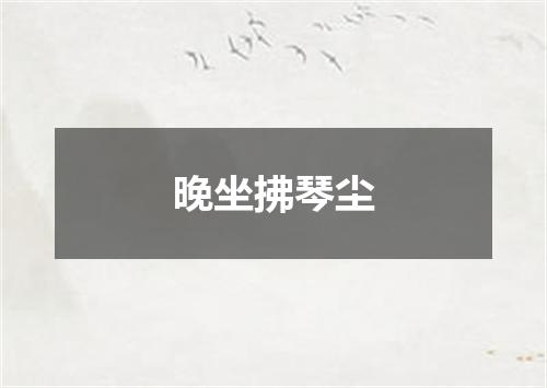 晚坐拂琴尘