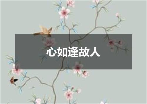 心如逢故人