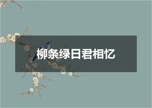 柳条绿日君相忆