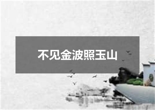 不见金波照玉山