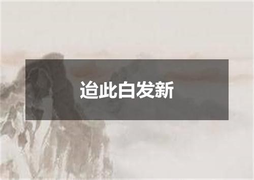 迨此白发新