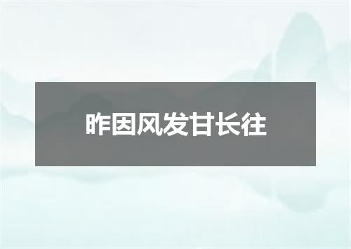 昨因风发甘长往