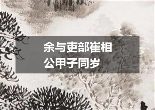 余与吏部崔相公甲子同岁