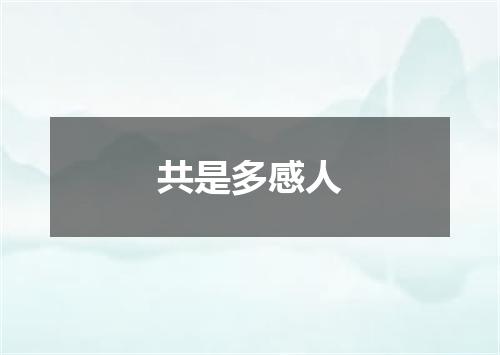 共是多感人