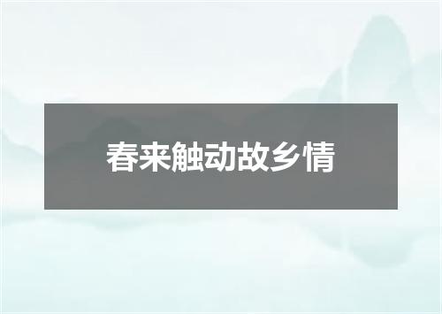 春来触动故乡情