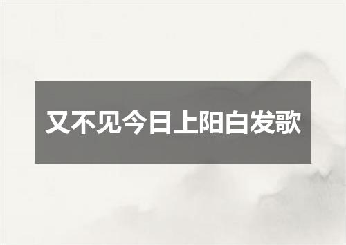 又不见今日上阳白发歌