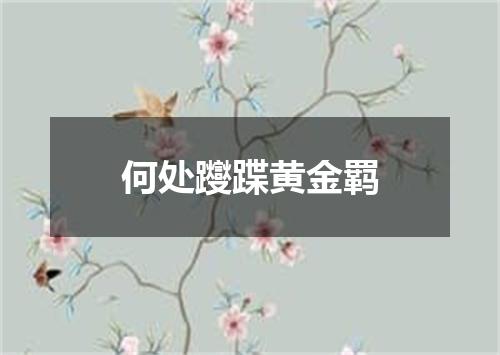 何处躞蹀黄金羁