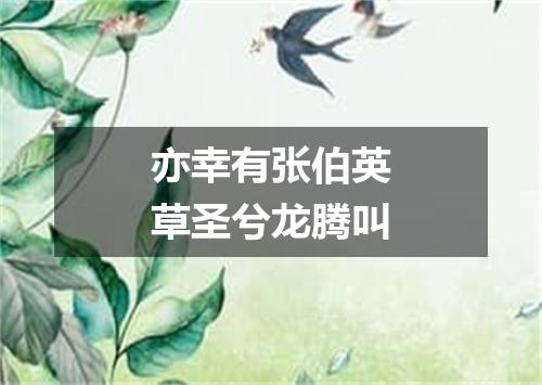 亦幸有张伯英草圣兮龙腾叫