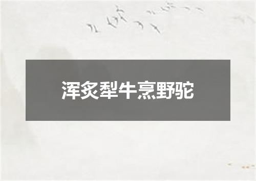 浑炙犁牛烹野驼
