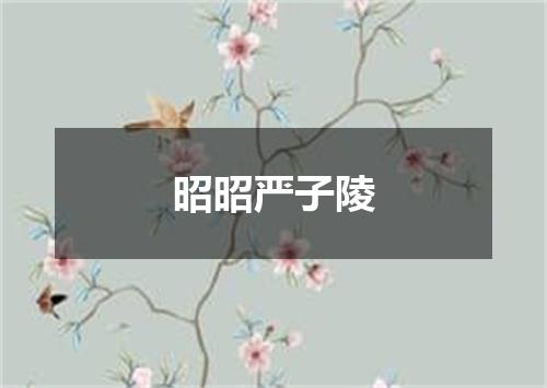昭昭严子陵