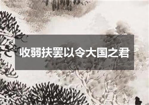 收弱扶罢以令大国之君