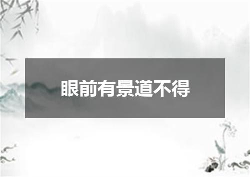 眼前有景道不得