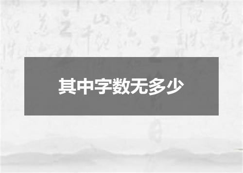 其中字数无多少