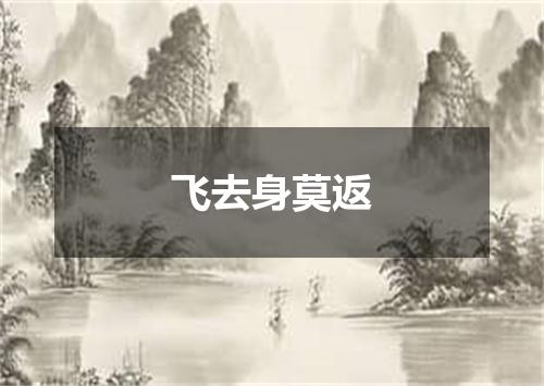 飞去身莫返