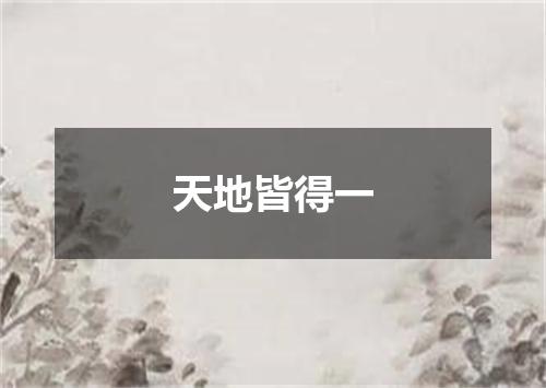 天地皆得一