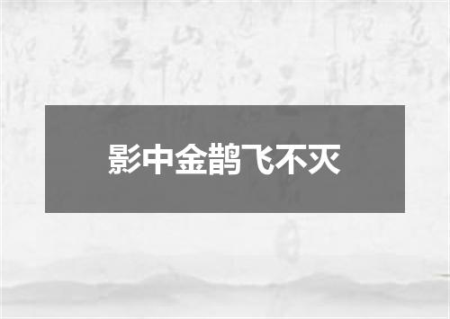 影中金鹊飞不灭