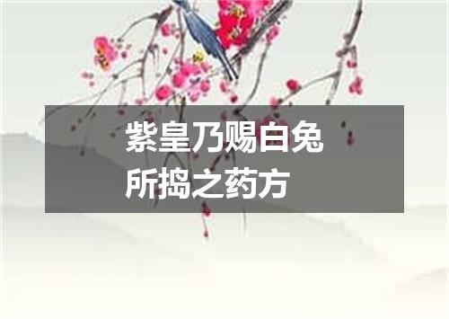 紫皇乃赐白兔所捣之药方