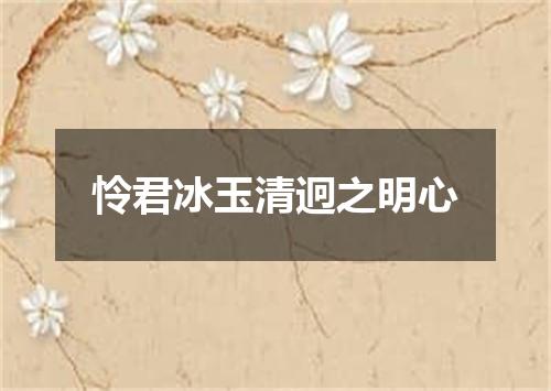 怜君冰玉清迥之明心