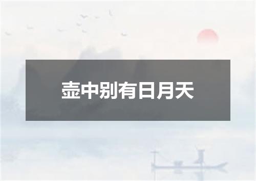 壶中别有日月天