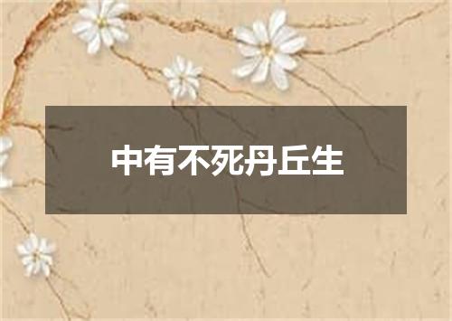 中有不死丹丘生