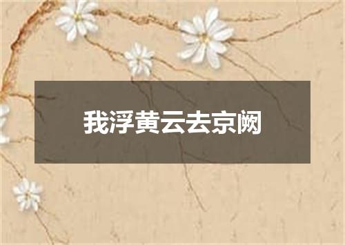 我浮黄云去京阙