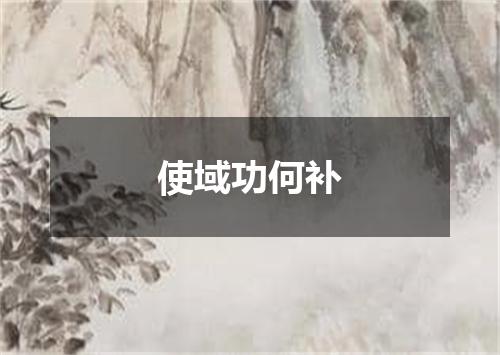 使域功何补