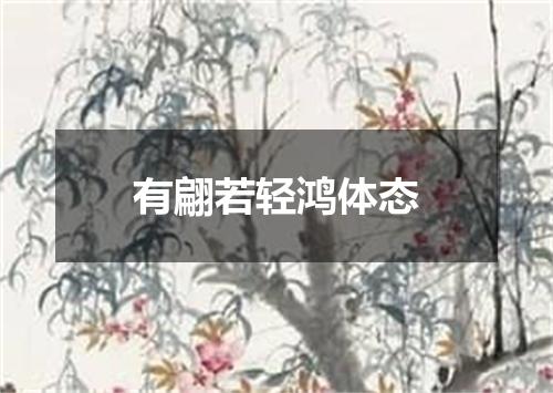 有翩若轻鸿体态