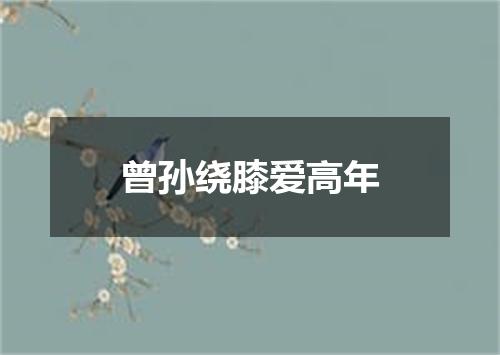 曾孙绕膝爱高年