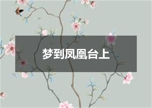梦到凤凰台上