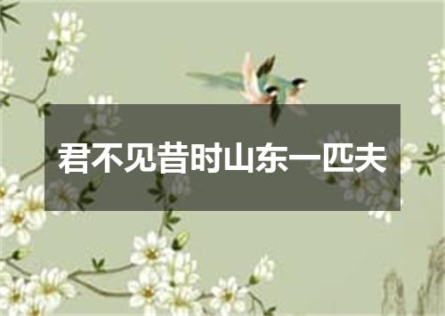 君不见昔时山东一匹夫