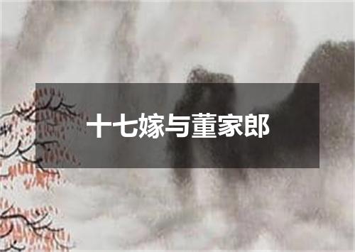 十七嫁与董家郎