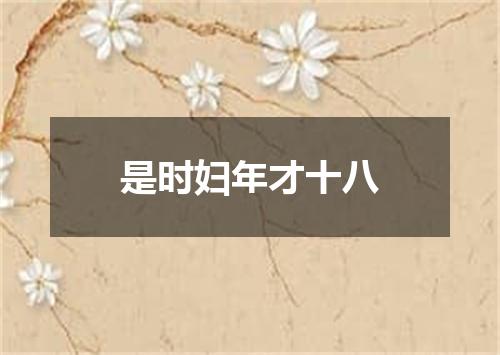 是时妇年才十八
