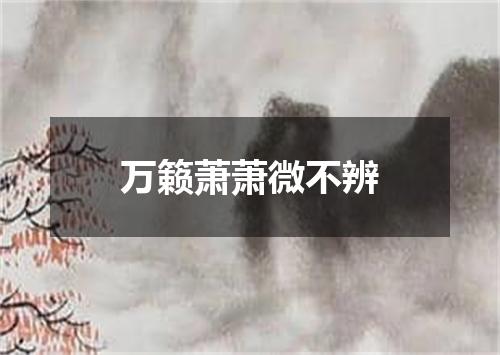 万籁萧萧微不辨