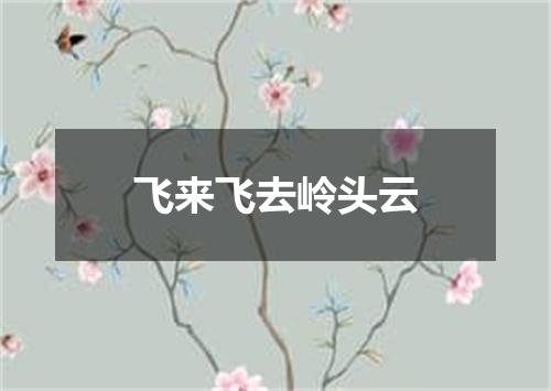 飞来飞去岭头云