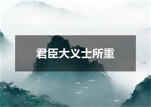 君臣大义士所重