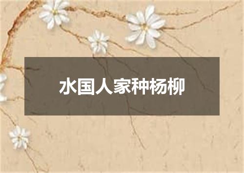 水国人家种杨柳