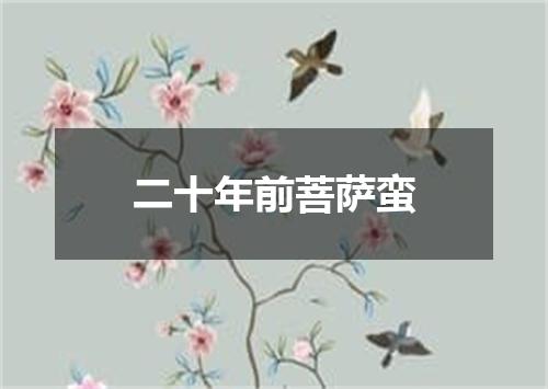 二十年前菩萨蛮