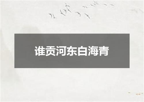 谁贡河东白海青