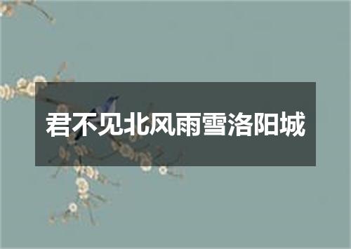 君不见北风雨雪洛阳城