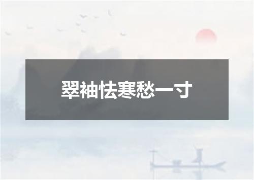 翠袖怯寒愁一寸