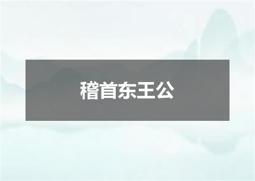 稽首东王公