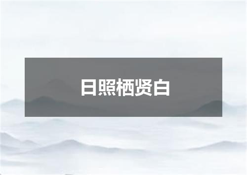 日照栖贤白