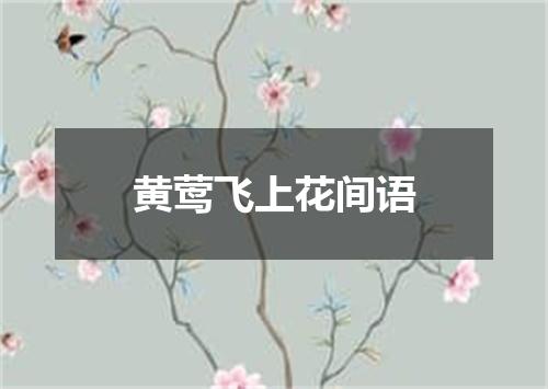 黄莺飞上花间语