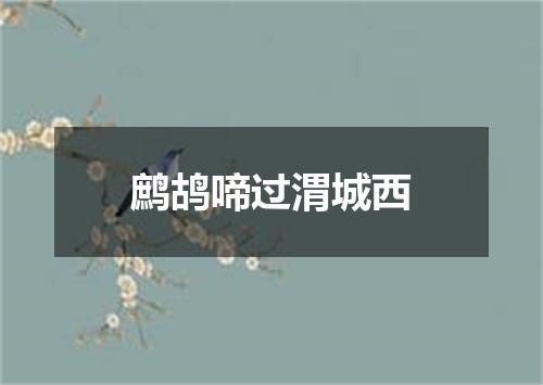 鹧鸪啼过渭城西