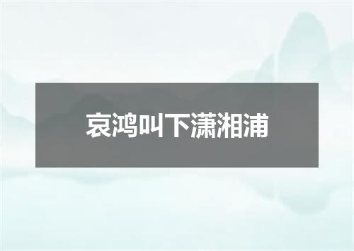 哀鸿叫下潇湘浦