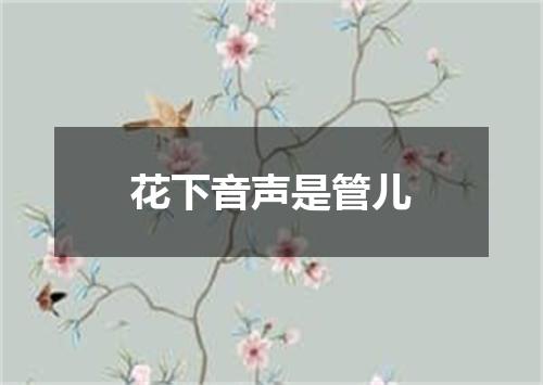 花下音声是管儿