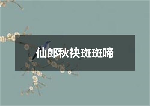 仙郎秋袂斑斑啼