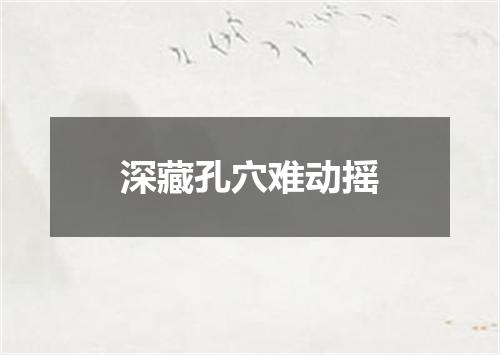 深藏孔穴难动摇